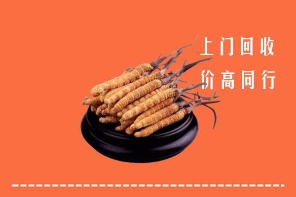 苏州回收散虫草