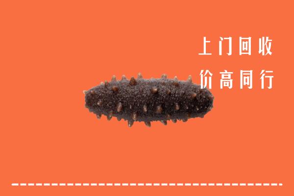高价求购：苏州回收海参