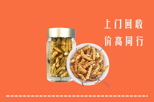 苏州回收冬虫夏草