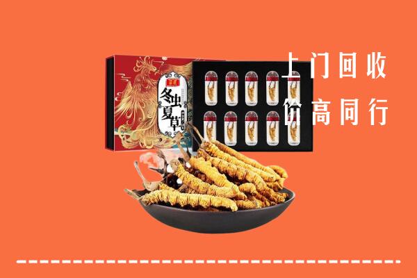 苏州回收虫草